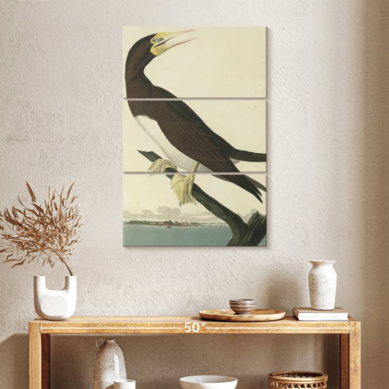 Brampt Booby Gannet, 38" H x 24" W