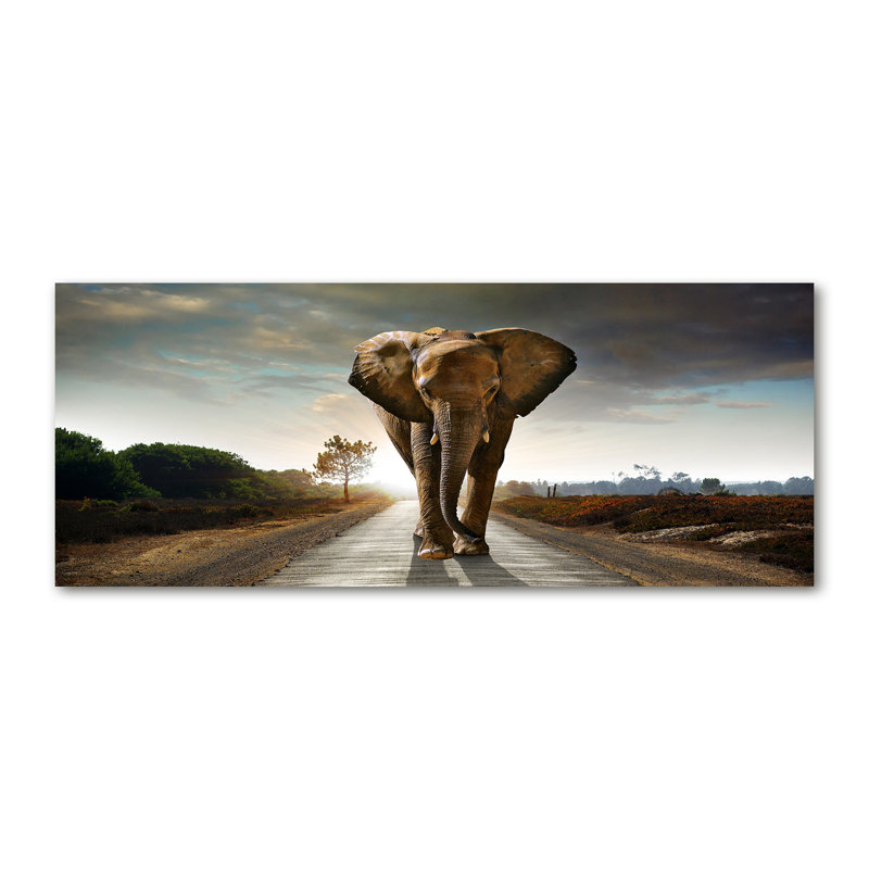 Strolling Elephant - Wrapped Canvas Print