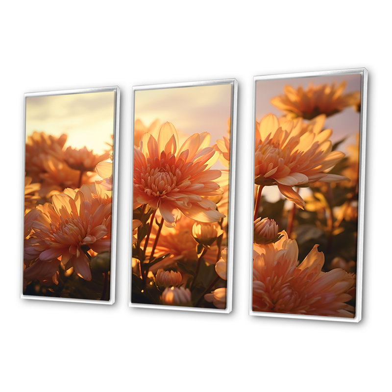 «Chrysanthemums Sunrise Field In Morning», ensemble d'art mural, Cadre flottant blanc, H 28 po x l 36 po x P 1 po
