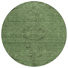 Fern