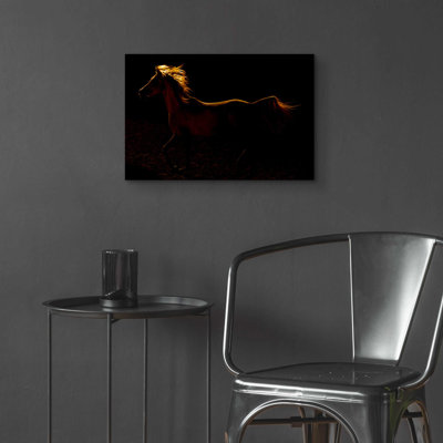 «Rim Light» par Susan Friedman