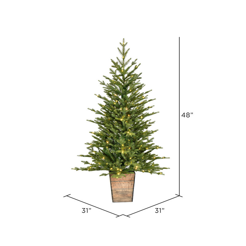 4' H Lighted Artificial Pine Christmas Tree