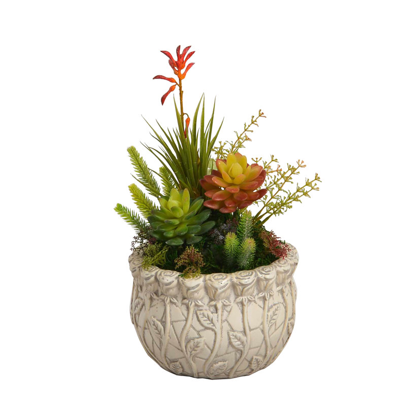 Arrangement in Pot
