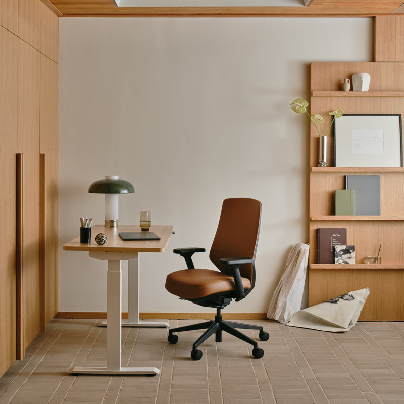Ergonomic Chair Pro, Canyon, Black
