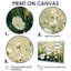 Innarah White Wildflower in Spring Bloom I - Wildflowers, art mural-786099179-786099181-786099183