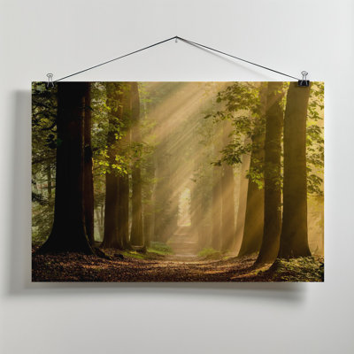 Wrapped Canvas Print
