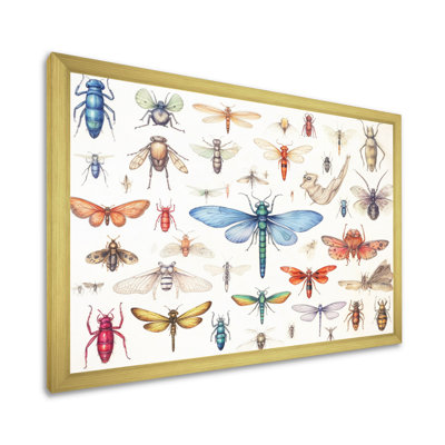 «Tiny Insect Wonders I», reproduction sur toile