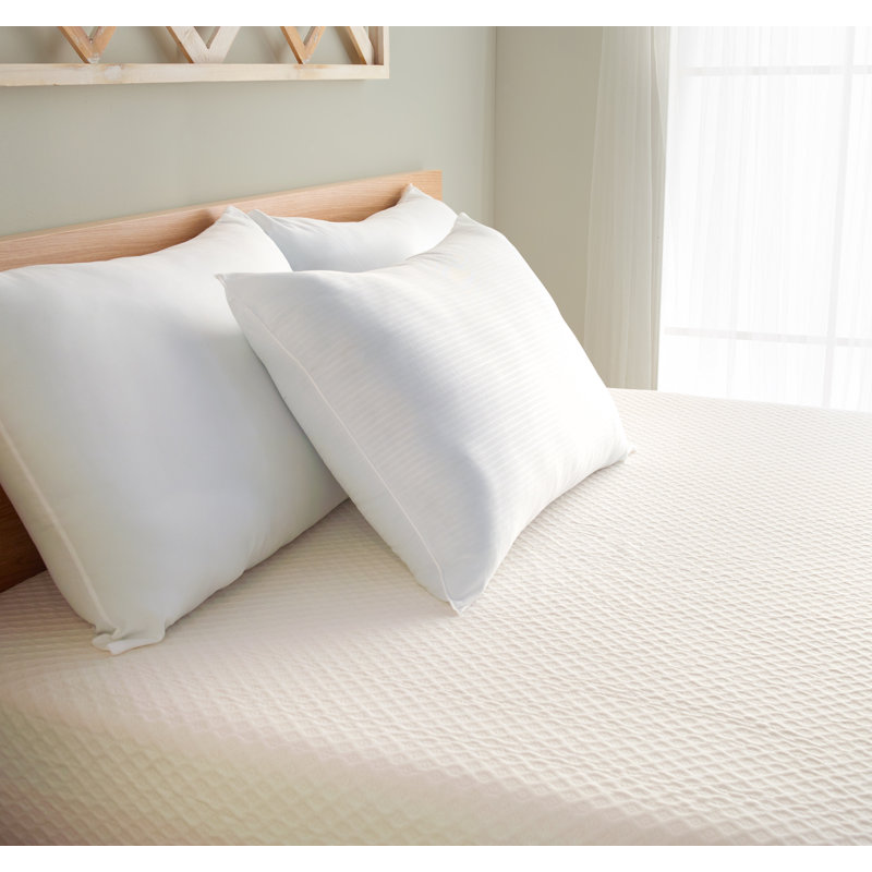  Coussin en polyester / polyester