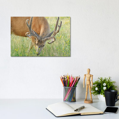 Velvet by Brian Wolf - Photographie sur toile tendue