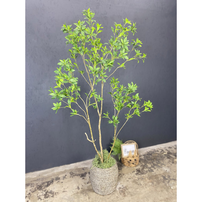 Artificial Japanese Enkianthus Tree Faux, 84" H x 32" W x 32" D