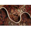Tapis traditionnel 7 x 9
