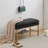 Avera Storage Bench-437251259