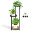 Betzabeth Plant Stand