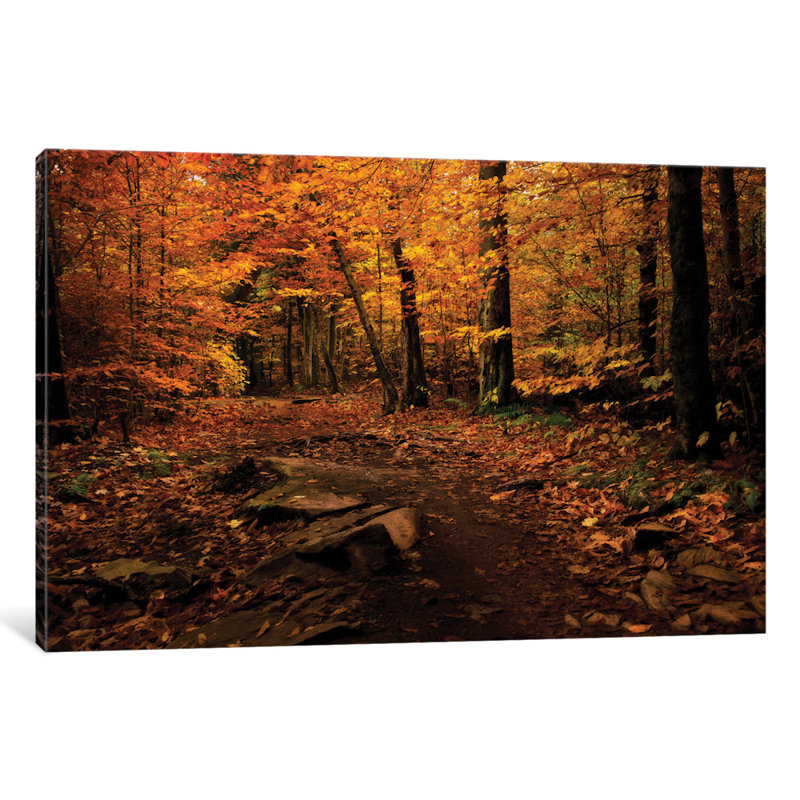 «Autumn Path» par Nathalie Mikaels - Impression sur toile, H 16 po x l 24 po x P 1 po, Papier d'art encadré noir, Blanc