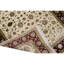 Oriental Area Rug