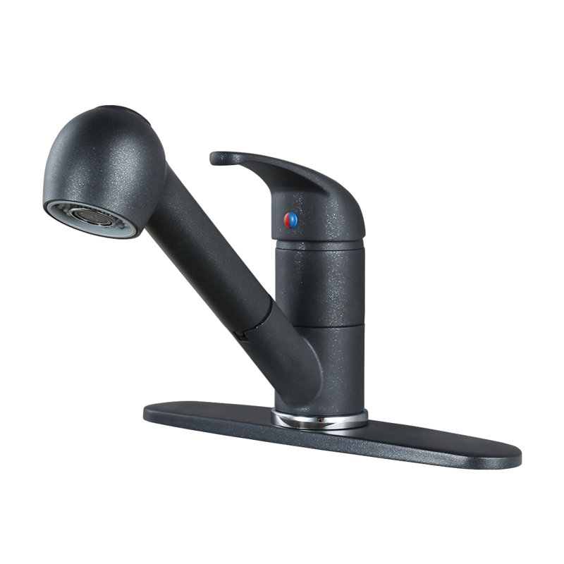 WOWOW Pull Out Kitchen Faucet