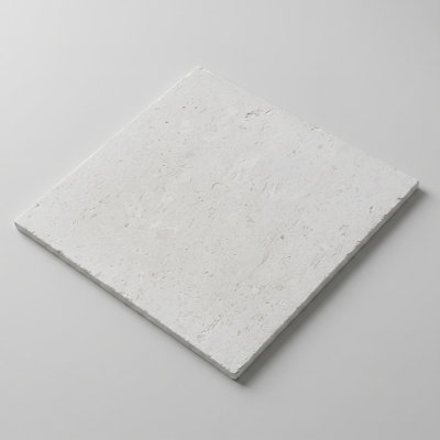 Symra Shell Tumbled 24x24 Limestone Paver