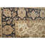 Wool Oriental Area Rug in Ivory