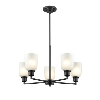 5 lumières 24 po Lustre noir mat