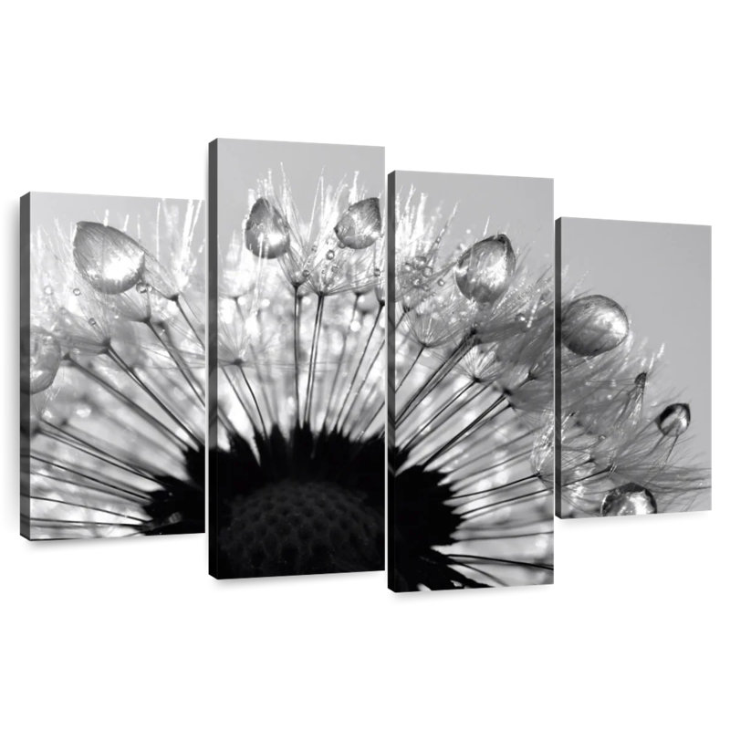 Harnek Stunning Dewy Dandelion