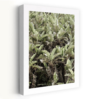 Art contemporain, palmier abstrait biologique moderne, art naturel