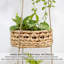 Bay Isle Home Metal Fruit Basket