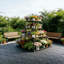 RICH HOLY ENTERPRISE CO., LIMITED 30.5 cm L x 30.5 cm W Plastic Outdoor Deck Tile-128130952