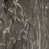 Marbled Brown