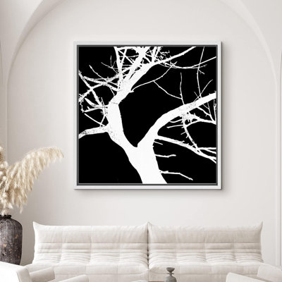 " Curved Tree Branches "