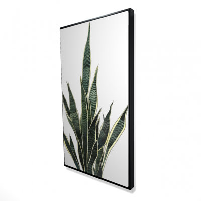 Snake plant - 24"x48" Framed canvas