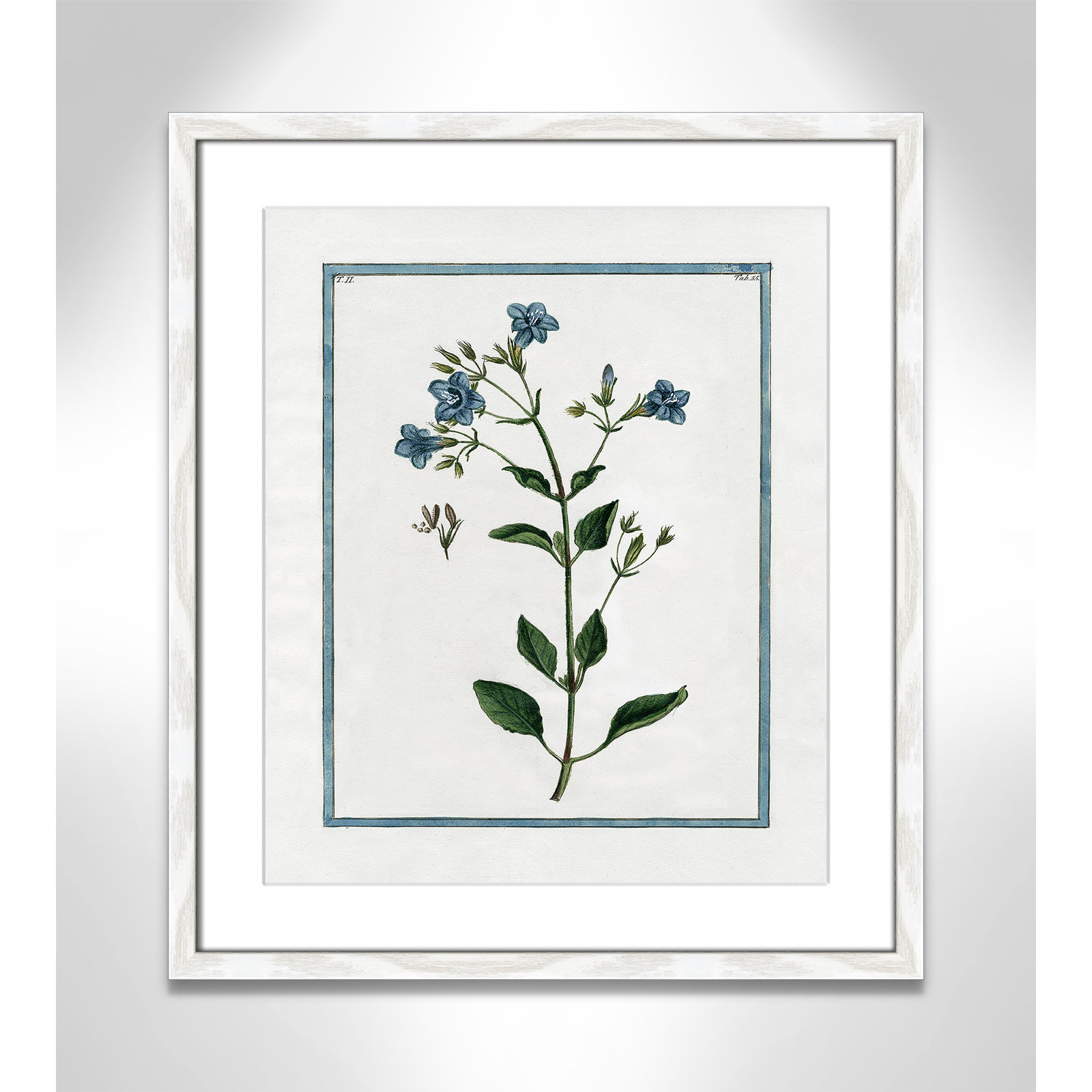 Colombe "Shabby Elegance Botanical II" Print, 16" W x 19" H, White Framed