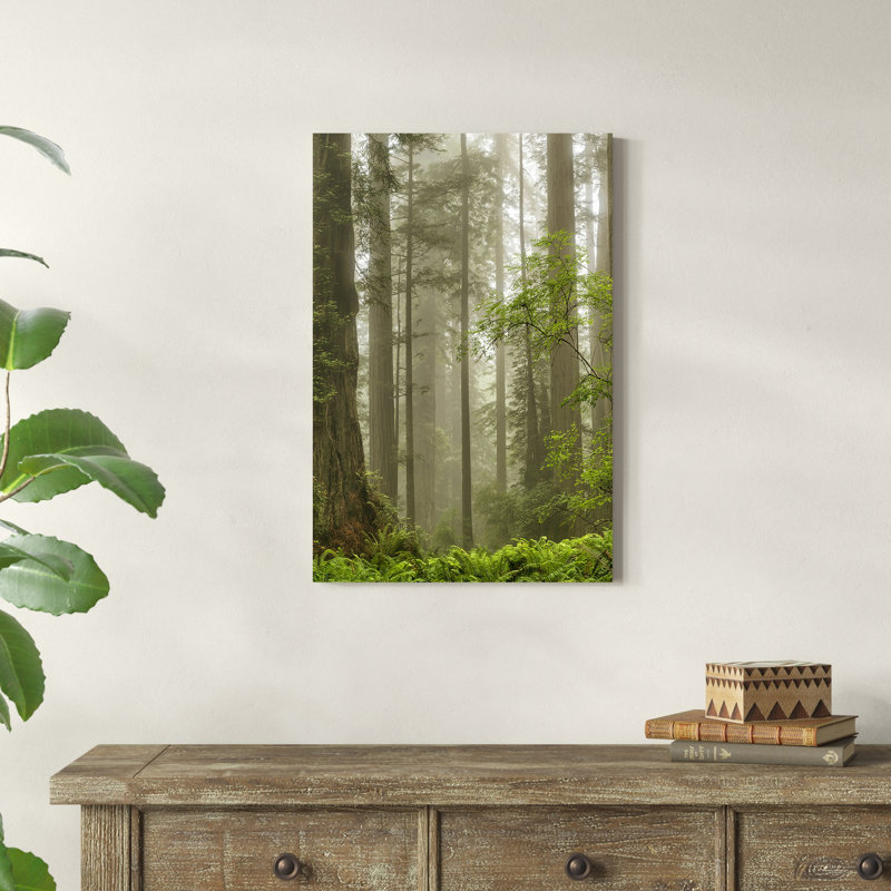 «Summer Forest II» par Dianne Poinski - Photographie sur toile tendue, H 30 po x l 20 po, Imprimé avec cadre noir, Blanc