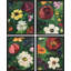 Expressive Floral Paintings Bold Garden Blooms Vibrant Nature Inspired, impression encadrée sur papier, 4 pièces-97770393-97770396