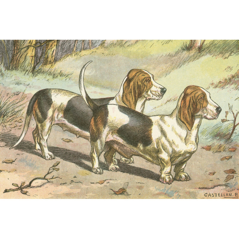 Mans Best Friend X - Wrapped Canvas Print, 51cm H x 76cm W x 3.8cm D