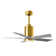 Patricia LED Ceiling Fan