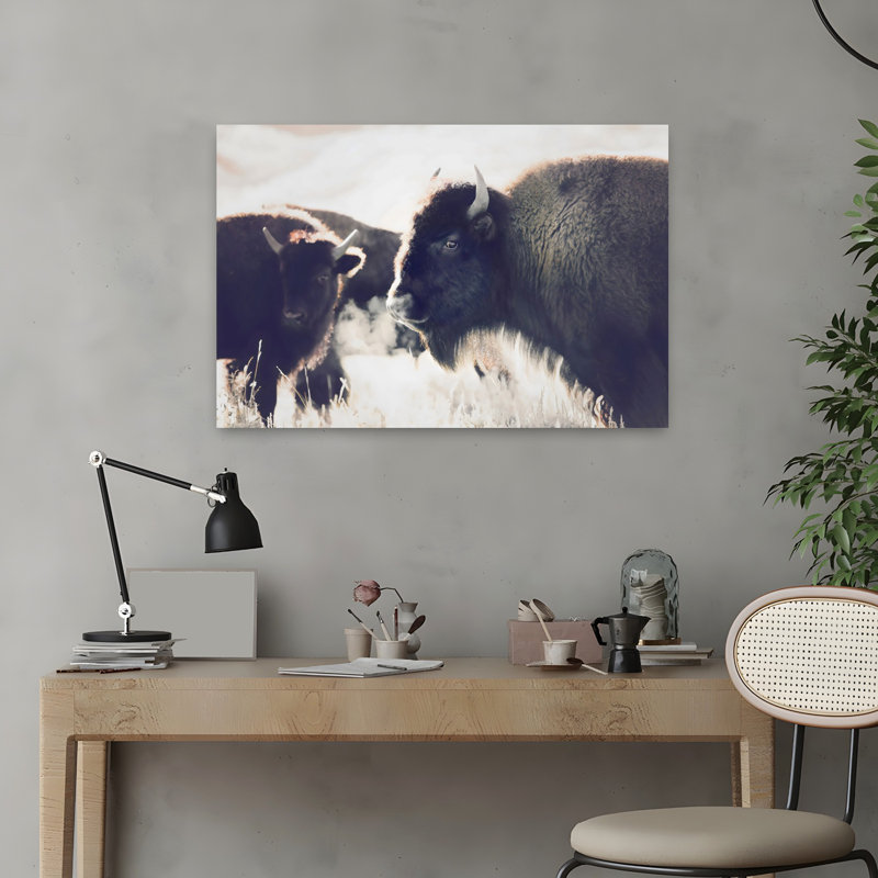 Bison, art mural contemporain abstrait, H 16 po x l 24 po