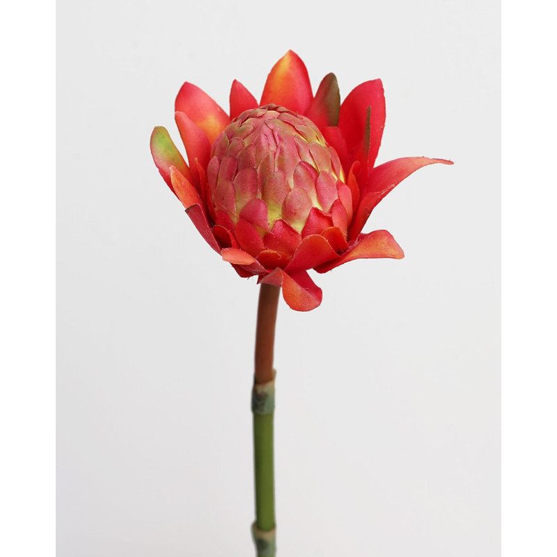 Faux 16,5 po Waratah Protea, Red Orange, 16.5" H x 5" W