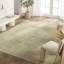 Jaipur Living Sarosh SEV08 Handknotted Medallion Green and Cream Area Rug (8'x10')-2065024780