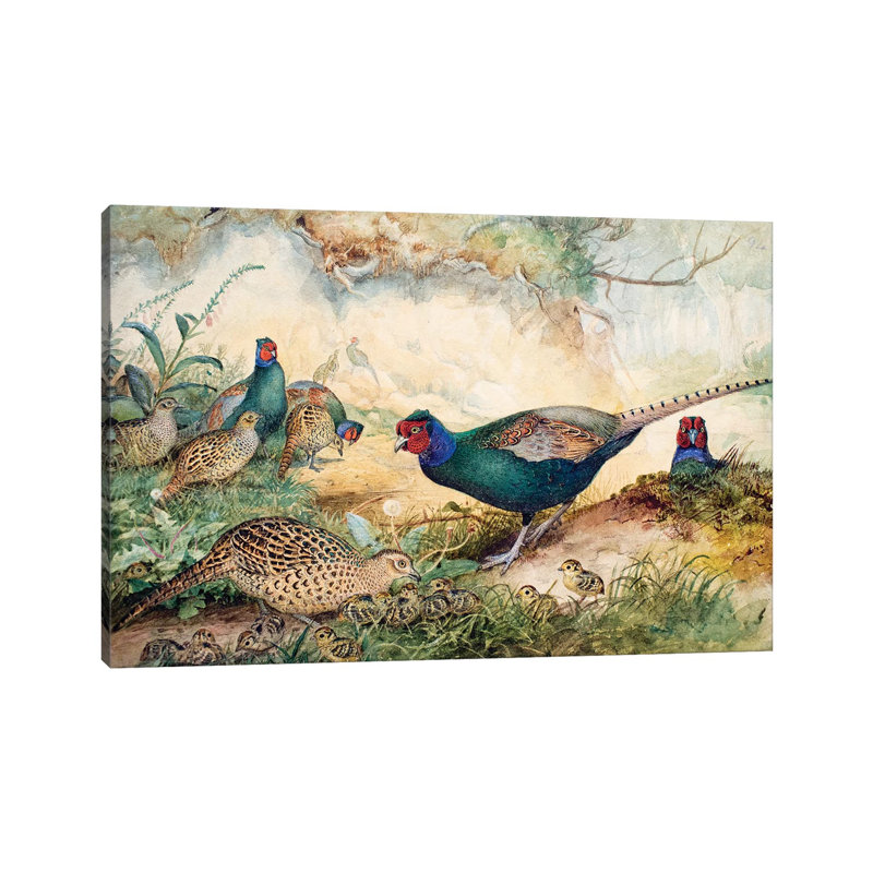 Japanese Pheasants, 1865 by Joseph Wolf - Wrapped Canvas Gallery-Wrapped Canvas Giclée, 66.04 cm H x 45.72 cm W x 1.91 cm D