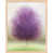 Maple Framed Paper selected