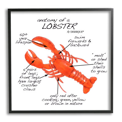 «Lobster Anatomy Nautical Sea Life», giclée, art texturé par vaisselle