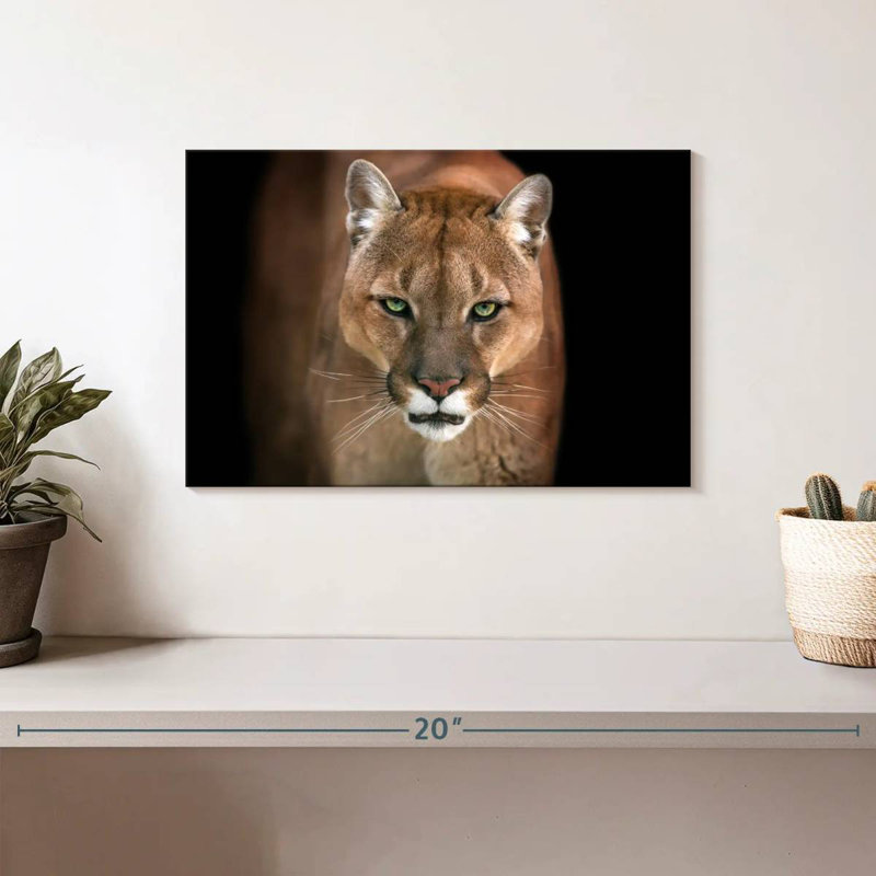 Brampt Fierce Puma, 8" H x 12" W