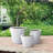 Waitman Pot Planter-1075021820