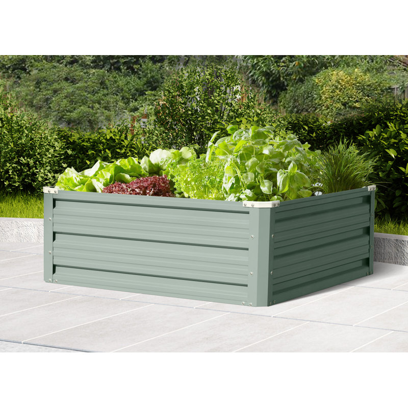 Balius Metal Raised Garden Bed