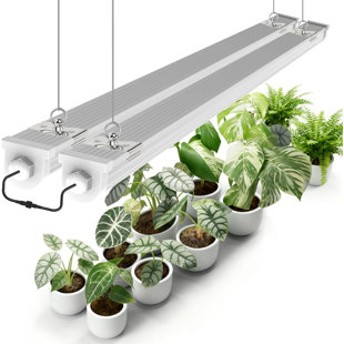 Jesled Waterproof Plant Grow Lights, 4ft Full Spectrum Natural White Light For Seed Starting & Veg, 96w(2 X 48w,600w Eqiv), Integrated Linkable Grow Light Strip With Switch, Plug And Play, 2-pack