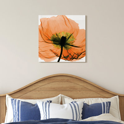 " Poppy Orange " by Albert Koetsier