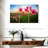 Alvord Cosmos Flower Valley-108173383