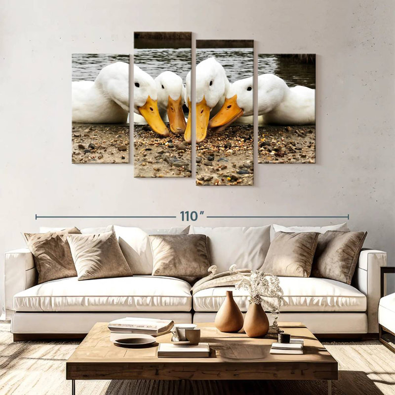 American Pekin Ducks, H 54 po x l 84 po