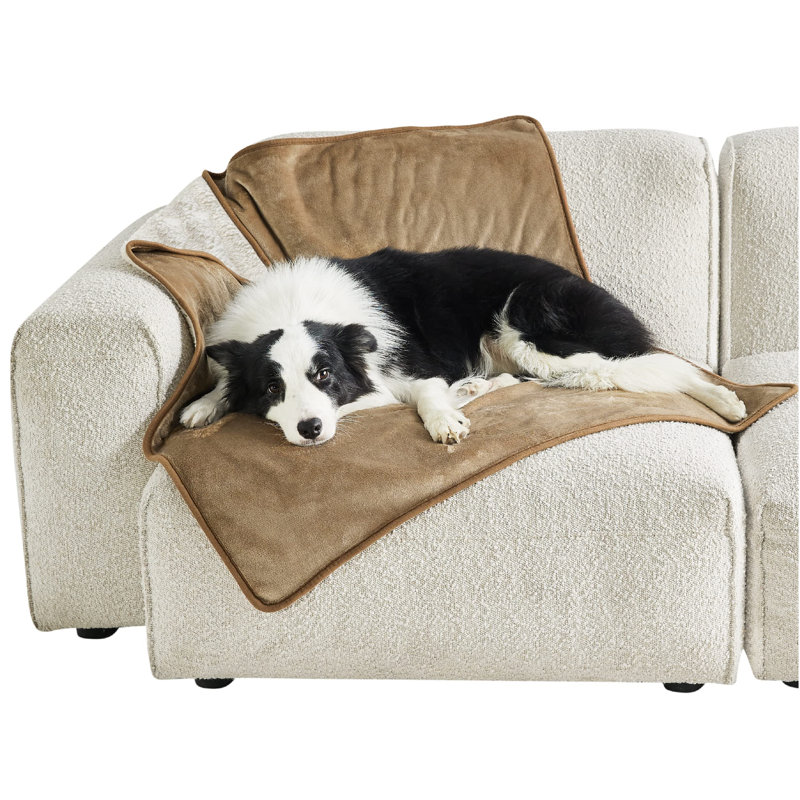 Pet Blanket, Brown