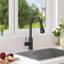 Belfry Kitchen Jace Pull Down Kitchen Faucet